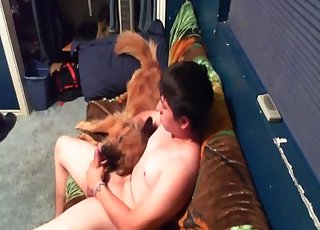 Dude playing with his sexy doggy on cam
