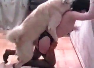 This brunette wears stockings and has sex with a mutt