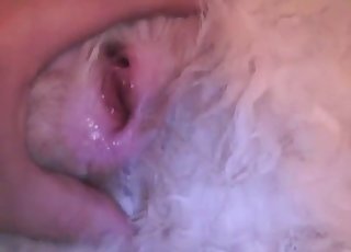 Hairy white mutt gets finger-blasted hard