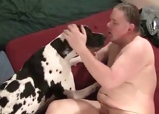 Spotted doggy is enjoying a manstick