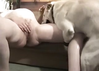 Pregnant-looking chick fucks a dog