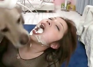 Dog licks her face after bestiality XXX