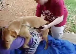 Wife fucks with her dog in front hubby
