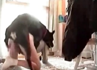 Homemade oral sex with a black dog