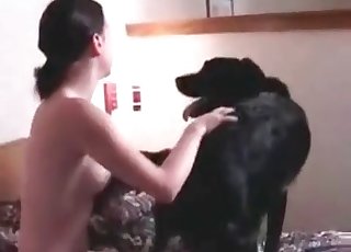 Black doggy in hardcore amateur bestiality