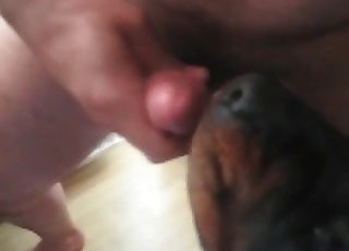 Dude gets to cum after fuck-a-thon with his dog