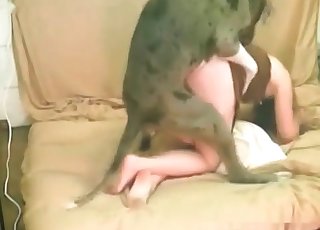 Trained dog munches her wide-opened tight vagina