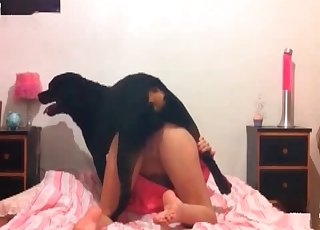 Immense black dog fucked her tight cunt