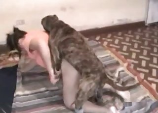 Amazing doggy in passionate bestiality XXX action