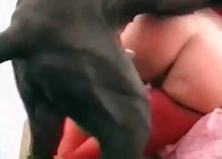 Playful dark dog licks her vagina
