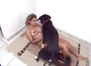 The tight wet pussy of this damsel gets plumbed by a doggie