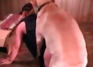 Unbelievable doggy is boinking her snatch
