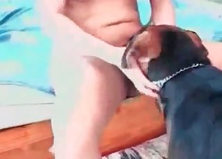 Doggy licks her wide-opened shaven hole