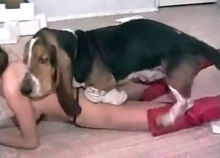 Thong-wearing slut gobbled by a dog