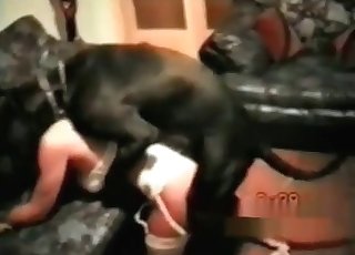 Black doggy knows how to please her tight cunt