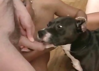 Dude face-fucking a dog in an orgy