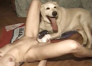 Kinky amateur tongued by a horny doggo