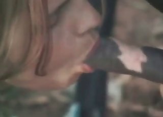 Doggy with a immense stiffy sucked by a zoophile