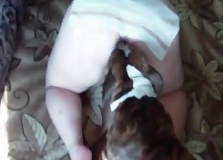 Teasing an already horny dog
