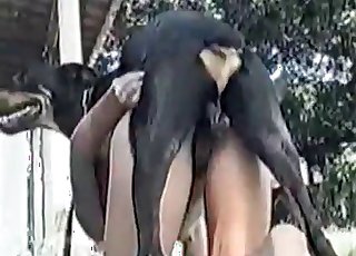 Excellent doggy fucked her vagina so firm