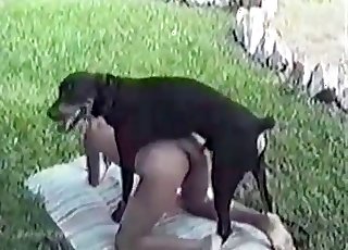 Excellent doggy fucked her vagina so firm