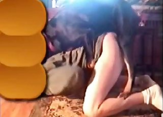 Dog tongues and pounds my tight hole