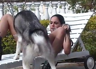 Shaved pussy licked by a mutt