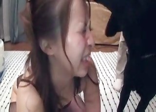 Doggy cumming on the face of a zoofil