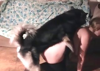 Doggy loves fat host and zoophilia sex