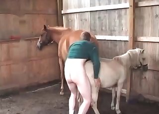 Fucking amazing pony in doggy style stance