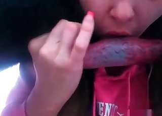 Doggy is getting a perfect head by a zoophile