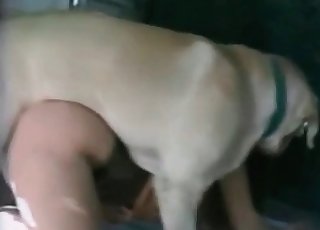 Doggy tears up a highly dirty zoophile