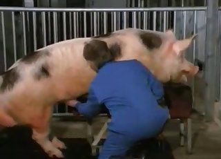 Two pigs have epic doggy style bang-out
