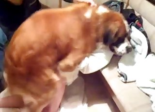 Dark-skinned dog punishing that tight crevasse