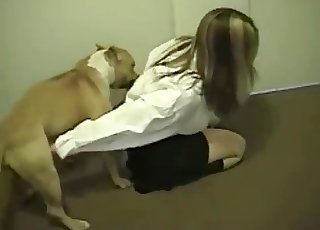 Sexy ash-blonde and horny doggy have superb fuck