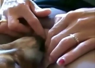 An insatiable slut shows off her pussy for a horny dog