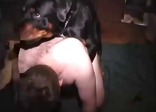 Rear end style fuck with a passionate dog