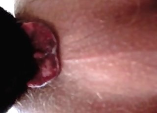 Dude's brown-eye getting licked by a dog