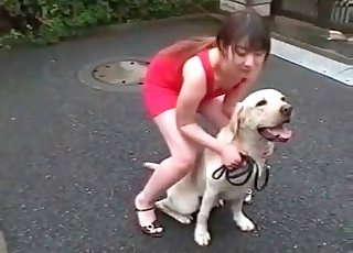 Japanese nymph teasing her sexy dog