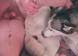 Dude fucking his white doggy in missionary pose
