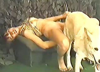 White doggystyle is the main star of this stunning bestiality vid