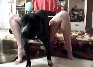 Zoo porno with dog and its master