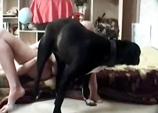Zoo porno with dog and its master