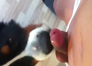 Dude milking it in front of a dog