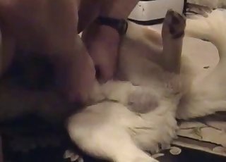 Taunting mutt cunt before pleasuring it