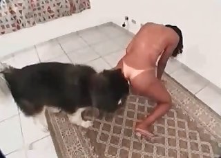 Toned chick and her doggy having amazing sex