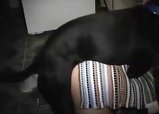 Big black dog fucked her wet cunt