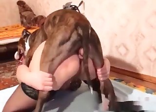 Anal bestiality with a slut and a passionate doggie