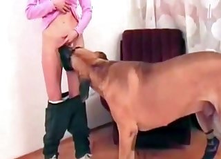 Loli-looking babe seduced by a dog