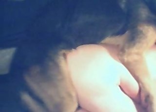 Doggy style romp with a horny dog